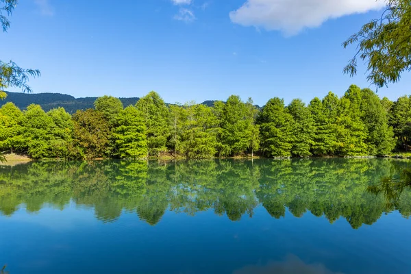 Beautiful Lake Green Tree Reflection Hualien County Taiwan — Stock Photo, Image