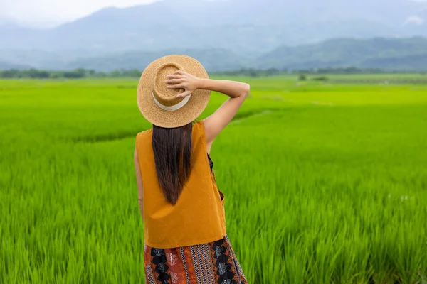 Молодая Девушка Гуляющая Рисовом Поле Юли Тайваня — стоковое фото