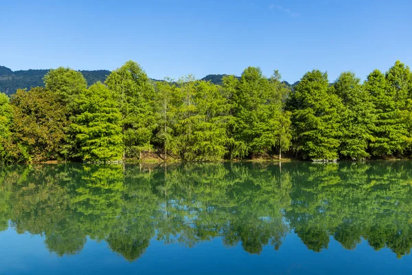 Όμορφη Λίμνη Πράσινο Αντανάκλαση Δέντρο Στην Επαρχία Hualien Της Ταϊβάν — Φωτογραφία Αρχείου