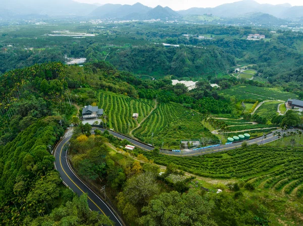 Jardín Verde Bosque Con Paisajes Naturales Carretera Montaña Nantou Taiwán —  Fotos de Stock