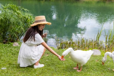 Kadın göl kenarındaki kazları besliyor.