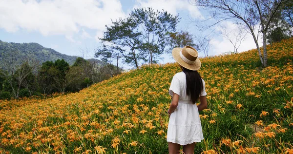 Reis Vrouw Bezoek Oranje Dag Lelie Bloemenveld Taimali Kinchen Mountain — Stockfoto
