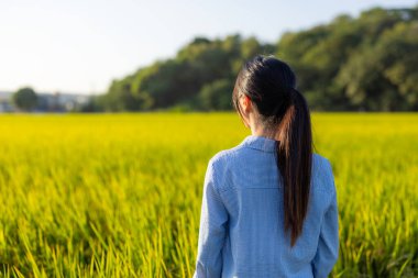 Kadın çeltik tarlasına bak.