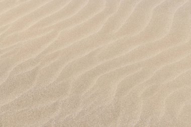 Deniz kumu plajı deseni