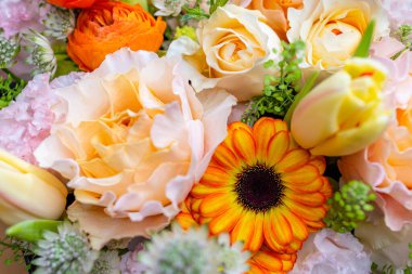 Set of flower box with different flower