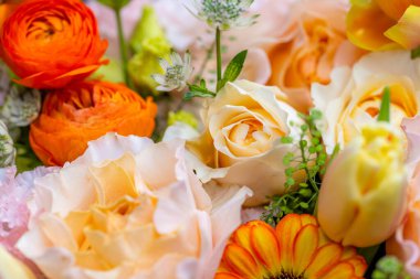 Set of flower box with different flower