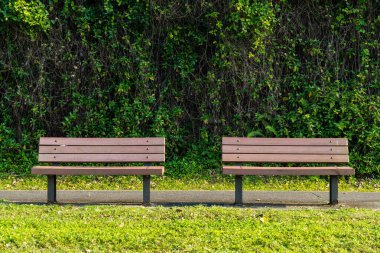 Parktaki ahşap bank.