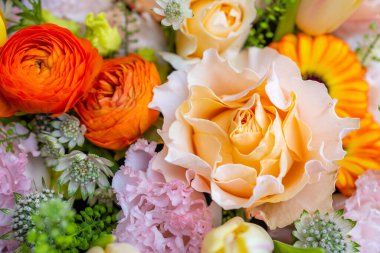 Set of flower box with different flower