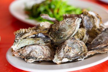Succulent raw oysters on plate