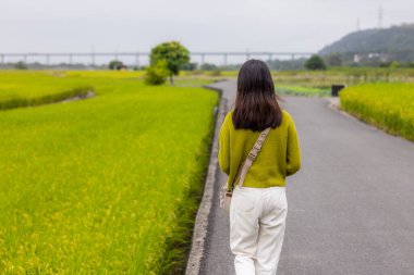 Woman go Waipu paddy rice field in Taichung