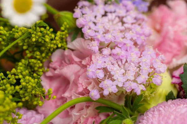 Assortment Lovely Purple Flowers — Photo