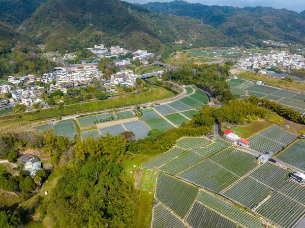 台湾苗栗市のイチゴ畑と村のトップビュー — ストック写真