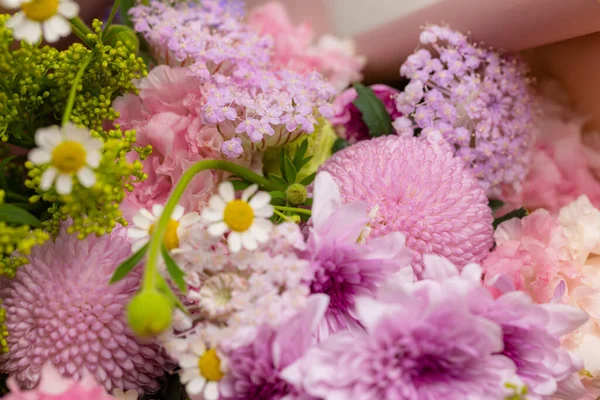 Variety Purple Flower Box — ストック写真