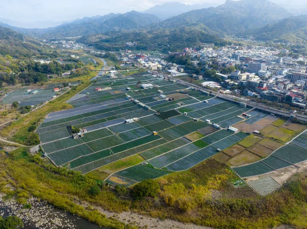 Top View Strawberry Field Village Dahu Miaoli Taiwan —  Fotos de Stock
