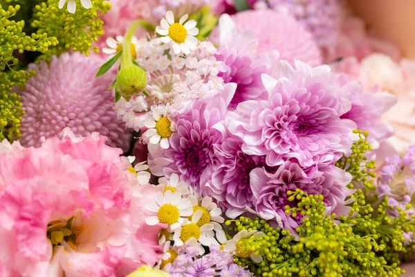 Diverse Assortment Purple Blooms — ストック写真