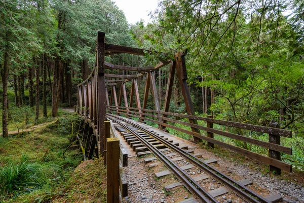 Alishan Δάσος Σιδηροδρόμων Στην Ταϊβάν — Φωτογραφία Αρχείου