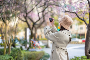 Kadın, Sakura ağacının fotoğrafını çekmek için cep telefonu kullanıyor.