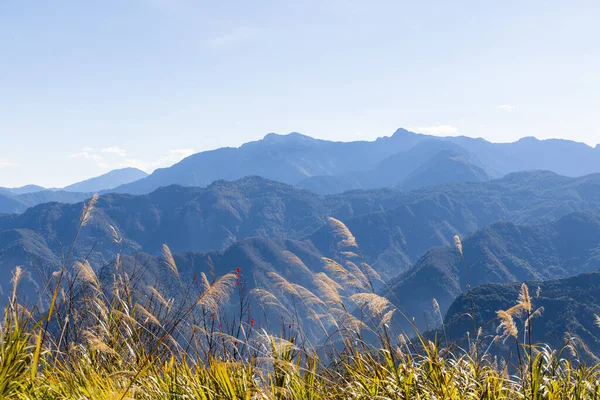 Όμορφο Ορεινό Τοπίο Πάνω Στην Alishan Εθνικό Πάρκο Της Ταϊβάν — Φωτογραφία Αρχείου