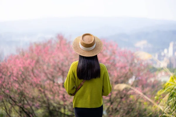 Donna Guarda Albero Sakura Sulla Montagna — Foto Stock