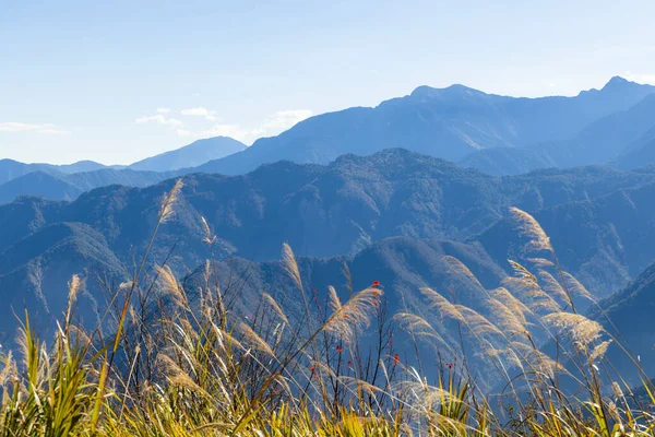 Gyönyörű Hegyvidéki Táj Alishan Nemzeti Parkban Tajvanon — Stock Fotó