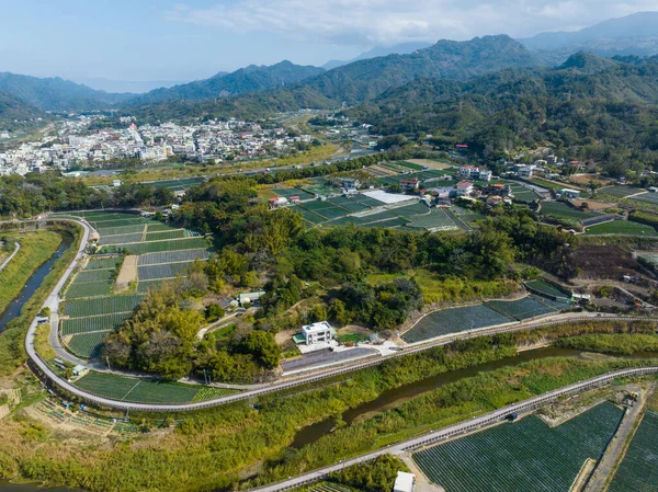 Top View Strawberry Field Dahu Miaoli Taiwan — Foto de Stock