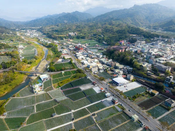 Ovanifrån Jordgubbsfältet Dahu Miaoli Taiwan — Stockfoto