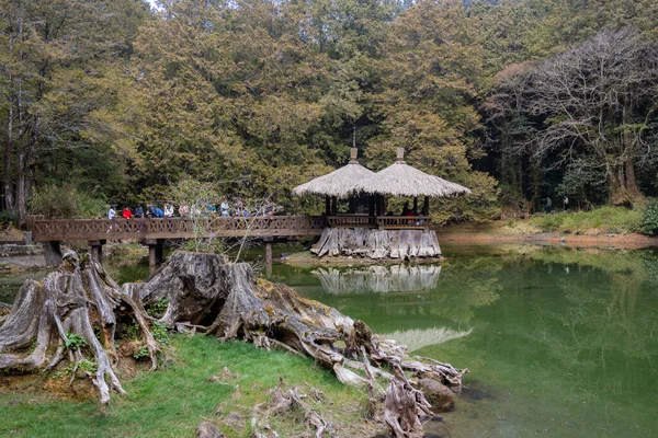Tajwan Lutego 2023 Jezioro Sióstr Alishan National Scenic Area — Zdjęcie stockowe