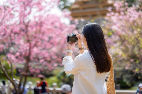 旅游妇女用数码相机与樱花树合影 — 图库照片