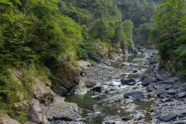 Tayvan 'ın Neidong Ulusal Orman Dinlenme Alanı 