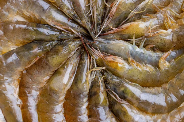 Crevettes Crues Fraîches Préparent Pour Pot Chaud — Photo