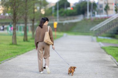 Parkta köpeğiyle yürüyen bir kadın.