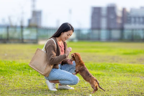 Woman give her dog snack at park