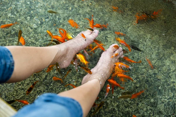 Pediküre Fisch Wellness Behandlung Freien — Stockfoto