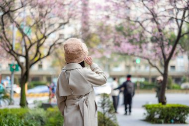 Kadın, şehirdeki sakura ağacına bak.