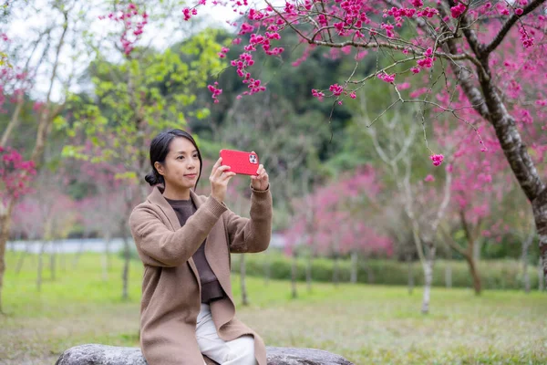 Vrouw Gebruik Van Mobiele Telefoon Tuin Met Sakura Boom — Stockfoto