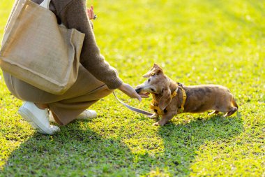 Hayvan sahibi köpeği ile parkta antrenman yapıyor.