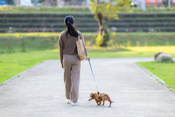 stock image Woman walking with her dachshund dog at park