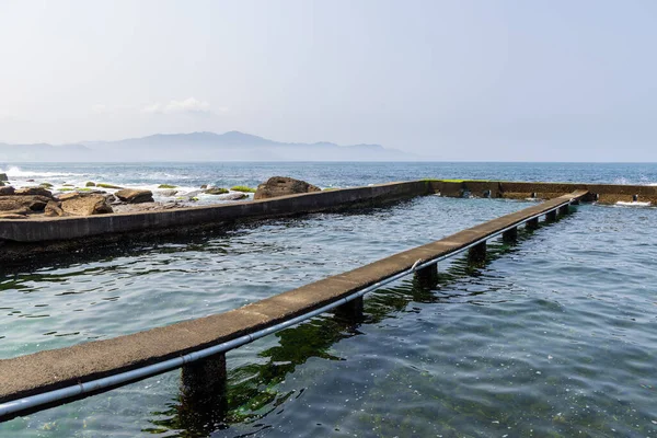 Abalone Fazenda Pedra Sobre Mar — Fotografia de Stock