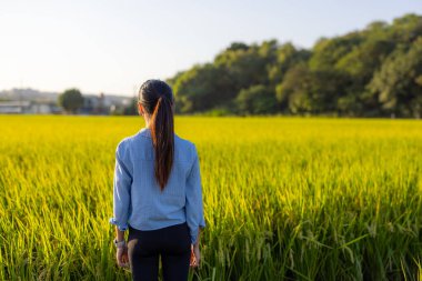 Kadın pirinç tarlasıyla kırlara gider.