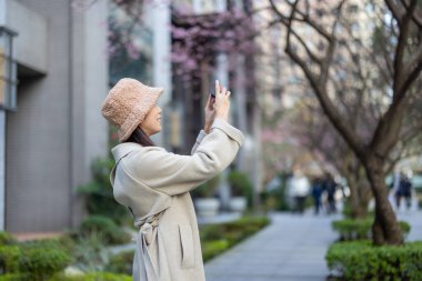 Kadın, sakura ağacının fotoğrafını çekmek için cep telefonu kullanıyor.