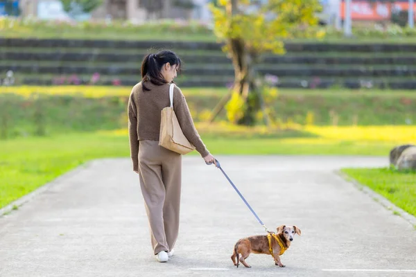 Mulher Andando Com Seu Cão Dachshund Parque — Fotografia de Stock