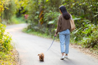 Parkta köpeğiyle yürüyen bir kadın.