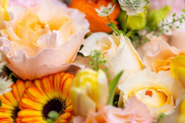 Set of flower box with different flower