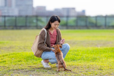 Kadın parkta köpeğini besliyor.