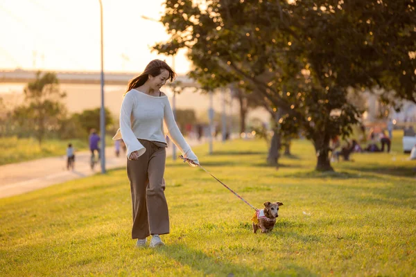 Frau Geht Mit Ihrem Dackelhund Park Spazieren — Stockfoto
