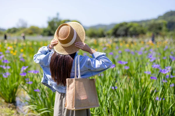 Woman visit the flower field with iris tectorum flower
