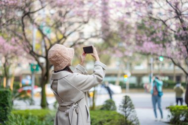 Kadın, sakura ağacının fotoğrafını çekmek için cep telefonu kullanıyor.