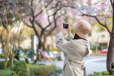 Kadın, Sakura ağacının fotoğrafını çekmek için cep telefonu kullanıyor.