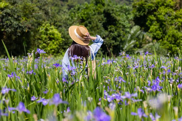 女性は虹彩のテクテルムの花で花畑を訪れる — ストック写真