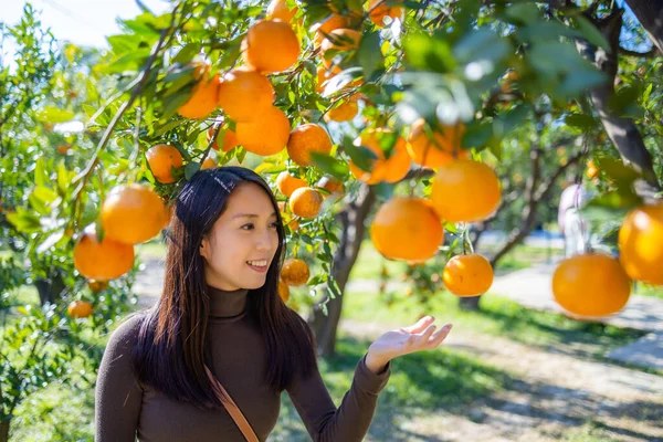 Kvinna Besöker Ekologisk Oranger Gård — Stockfoto